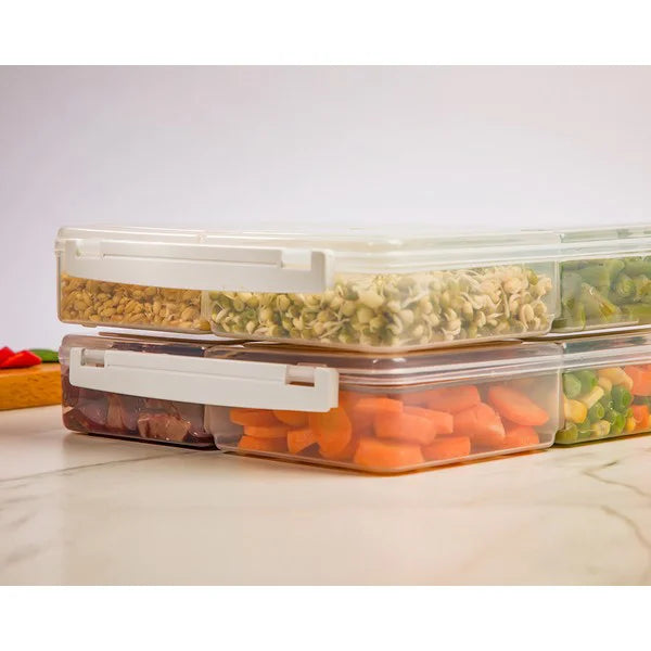 4 Section Freezer Box With Lid 250ML