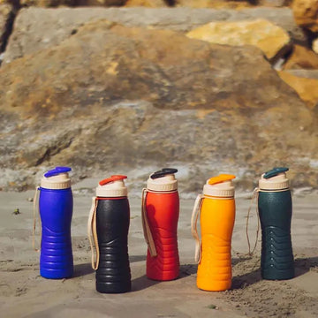 SPRING THERMIC BOTTLE (500 ML) 446