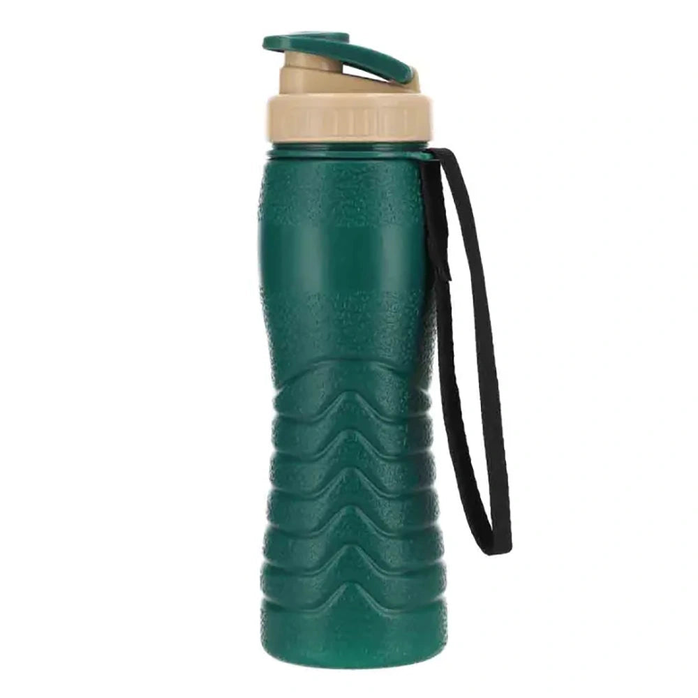 SPRING THERMIC BOTTLE (500 ML) 446