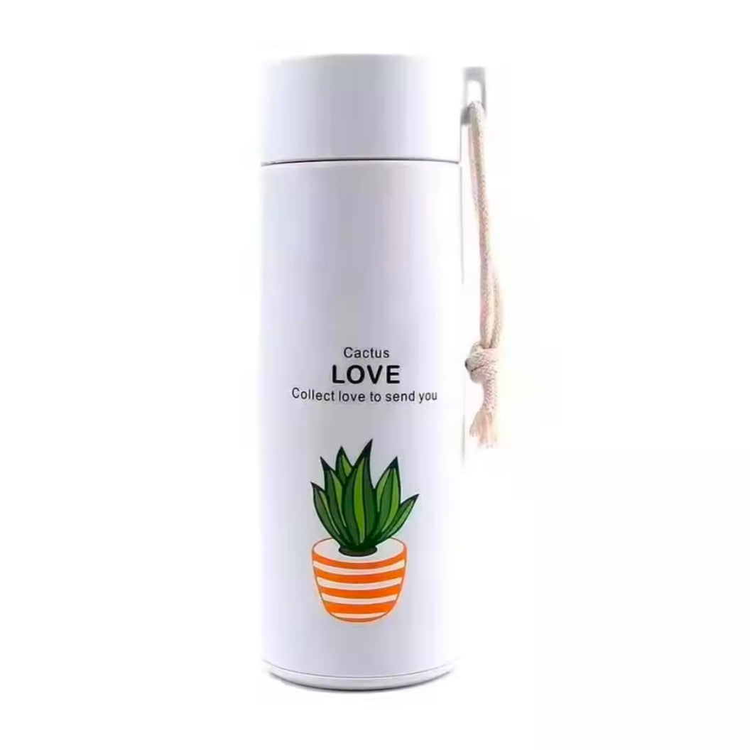 New Succulent Double-layer Insulated Glass Water bottle Portable Handheld Drinking Cup Business Gift Cup